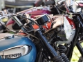 TNR2019-206