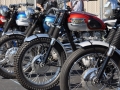 TNR2019-76